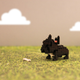 Image for article titled 26 Photos Taken In $20 Lightboxes